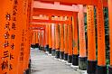 090. fushimi inari